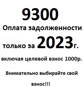 Задолженность только за 2023 год за Электрифицированный гараж без Электросчетчика с учетом целевого взноса 1000 руб.