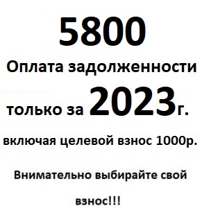 Оплата задолженности только за 2023 год за гараж с электросчетчиком с учетом целевого взноса 1000 руб.